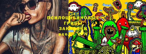 гидра Зеленодольск